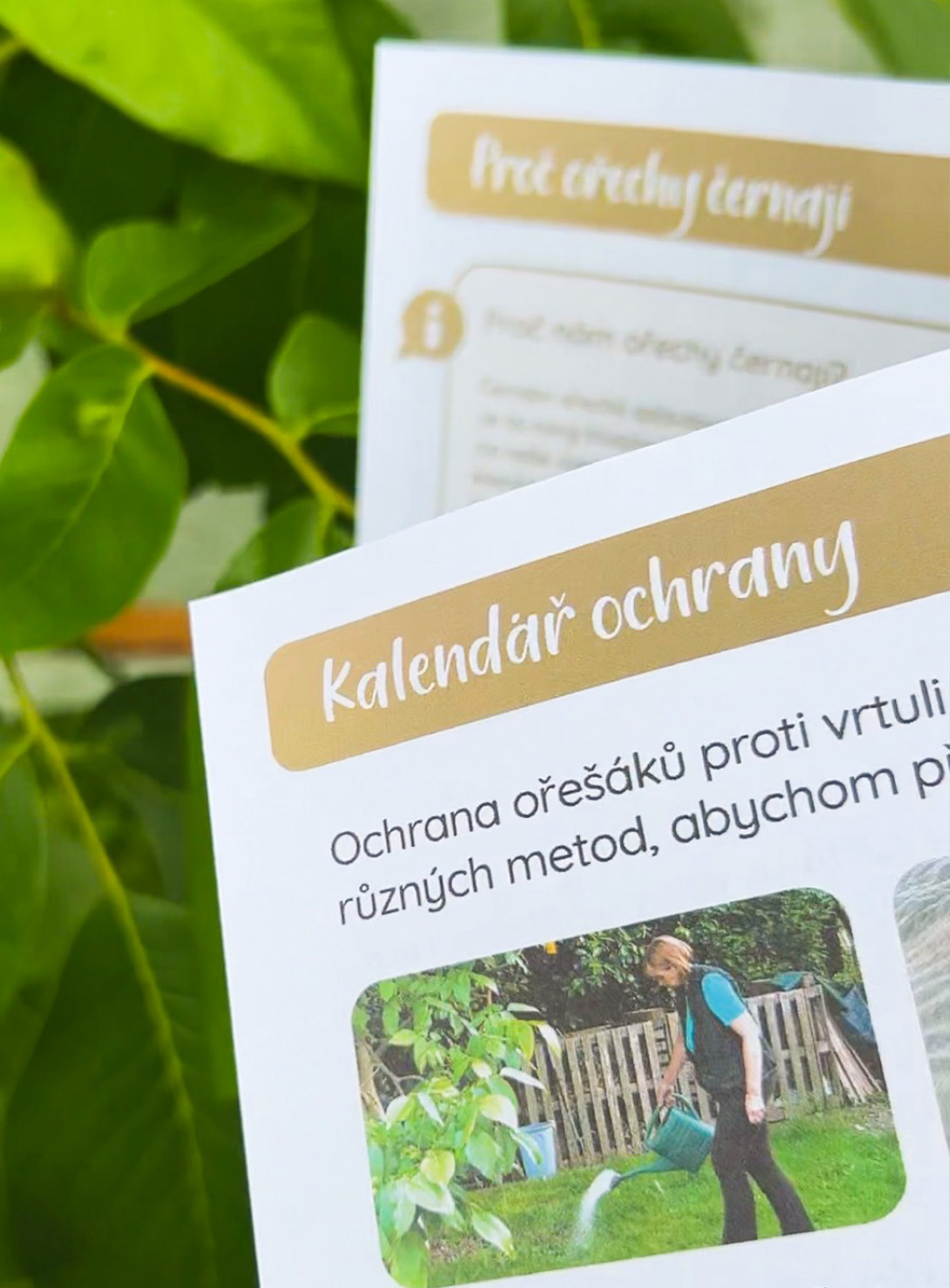 Orechy – kalendar